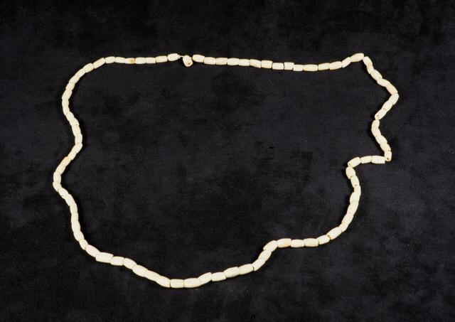 Prehistoric Shell Bead Necklace