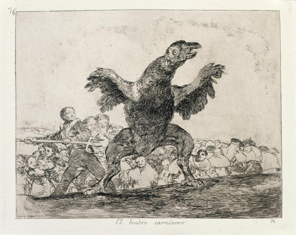 The carnivorous vulture