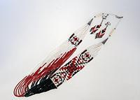 Navajo Beaded Necklace and Earrings
