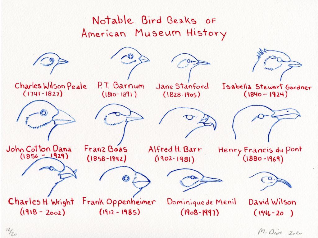 Notable Bird Beaks of American Museum History