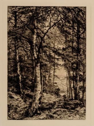 In Summer Woods