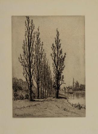 Poplars