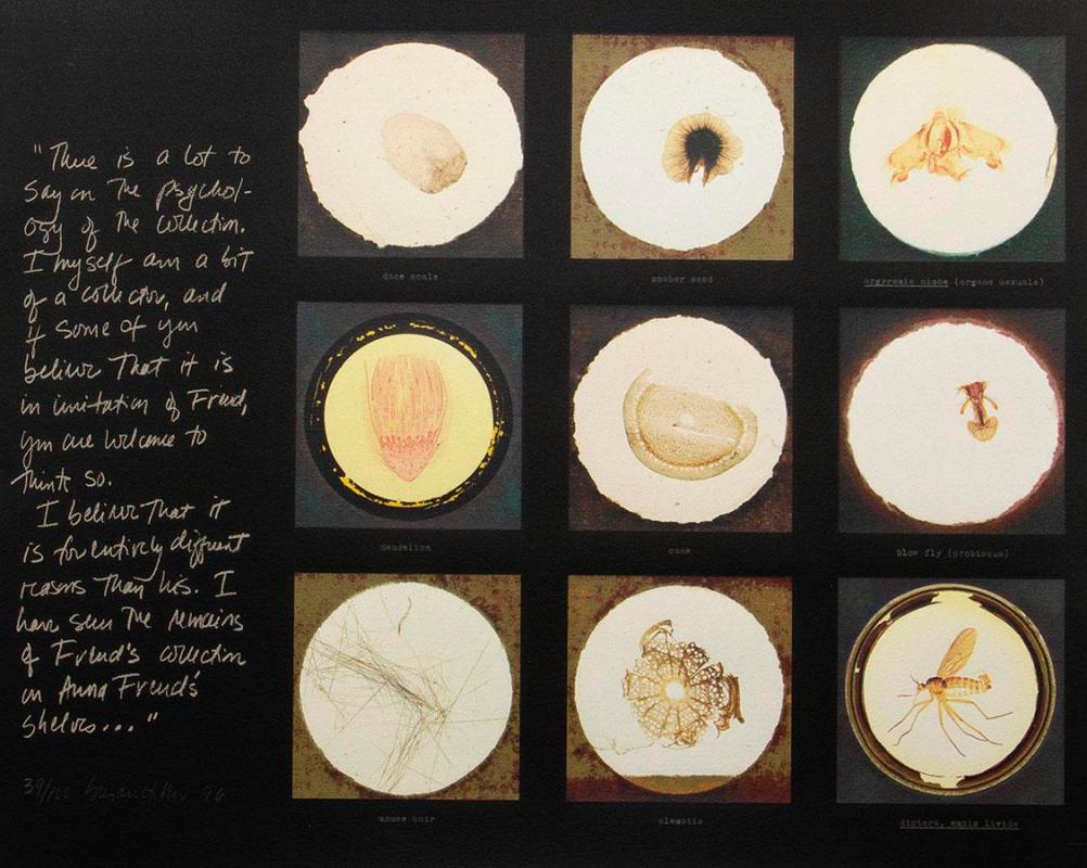 After microscopes slides found in Freud's collection and a quotation from Jacques Lacan