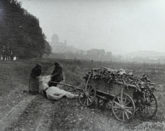 Country accident, Esztergom