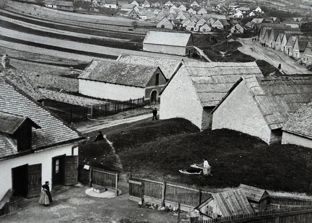 Wine cellars, Budafolk